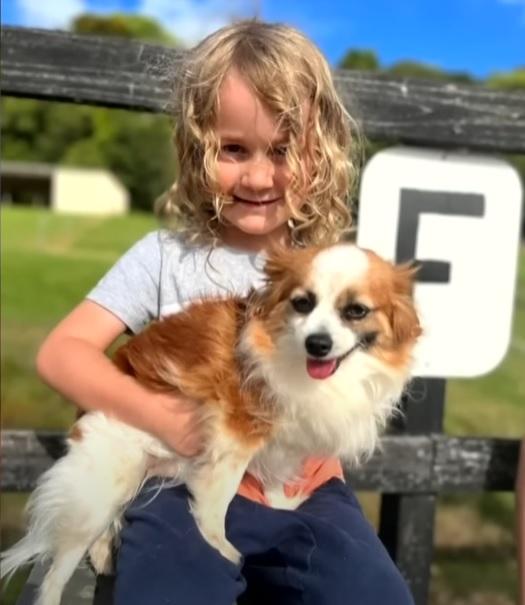 遇襲5歲男童。(互聯網)