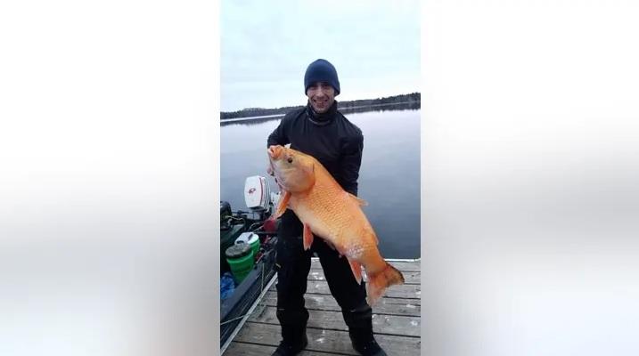 美國明尼蘇達州居民富蓋特2019年釣到重33磅的巨型水牛魚。(互聯網)