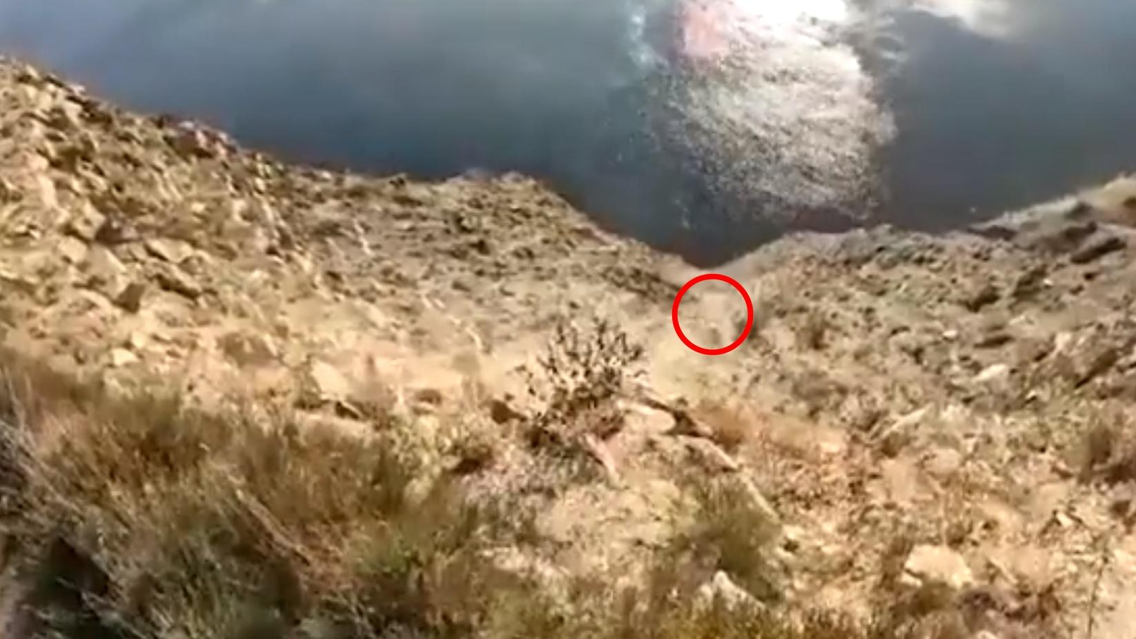 他先跌落近乎筆直的十數米崖,再滾落百米深谷,沿途翻起沙塵最後不見影蹤。(Twitter)