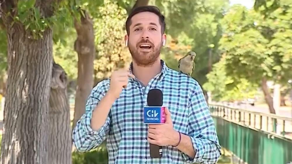 Nicolás Krumm亦專開始進行報道,逐漸放下戒心。(Twitter)