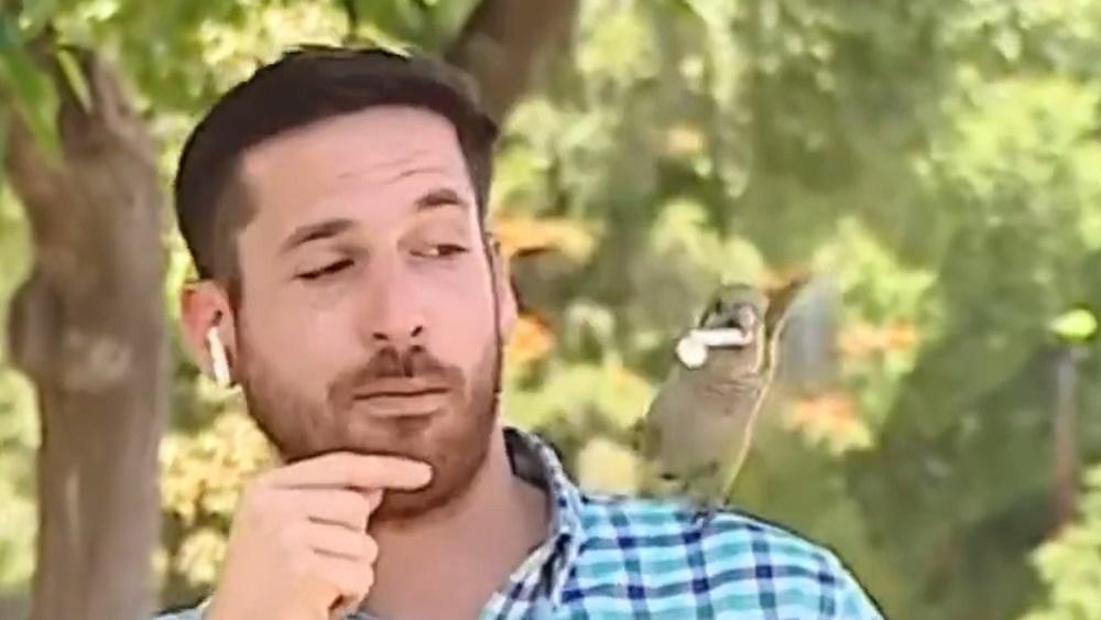 鸚鵡慢慢靠近Nicolás Krumm的耳邊,就當著鏡頭前叼了耳機。(Twitter)