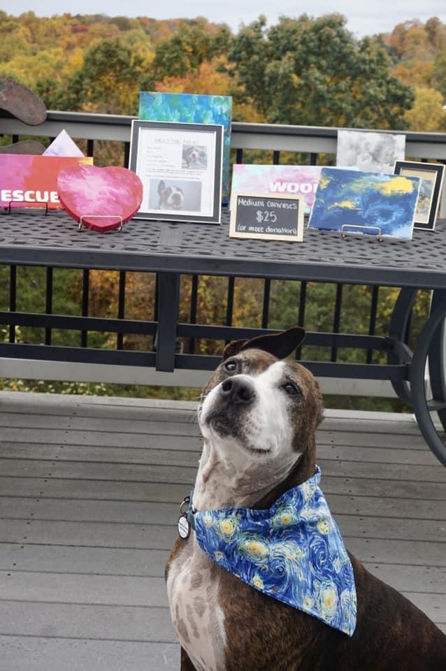 梵高早前舉辦了一場畫廊展覽。(FB)