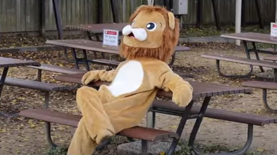 獅子施襲的慢動作、還有坐在公園凳上休息的情景,不禁令圍觀的人爆笑出來。(YouTube)