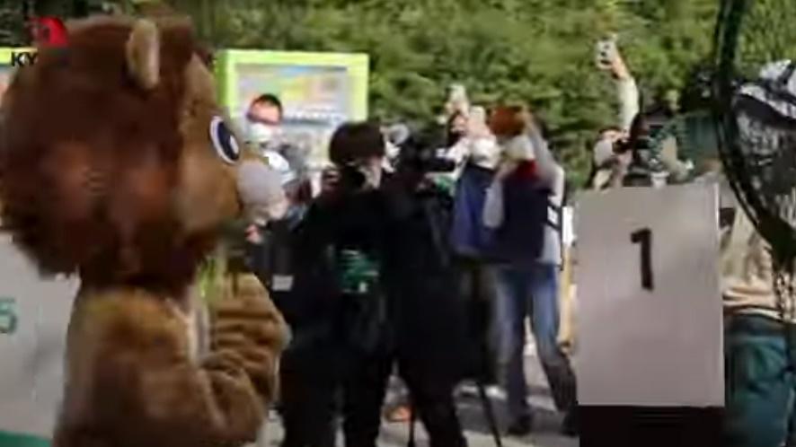 職員以盾牌、防咬手套、繩網及麻醉槍制服獅子的應對方法。(YouTube)