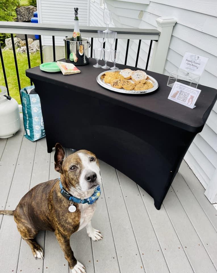 梵高的畫展。(FB)