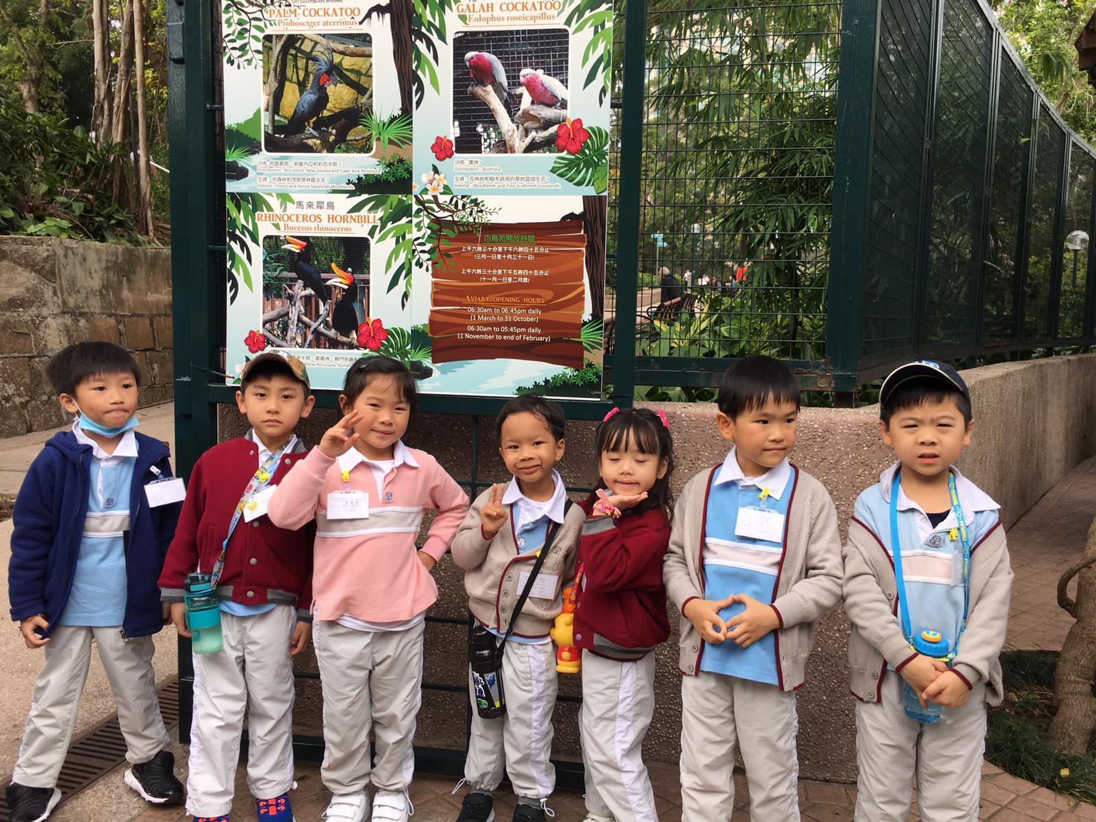 學生經過參觀、觀察、實驗或到圖書閱讀等探索活動後,再用mind map反映學習結果。