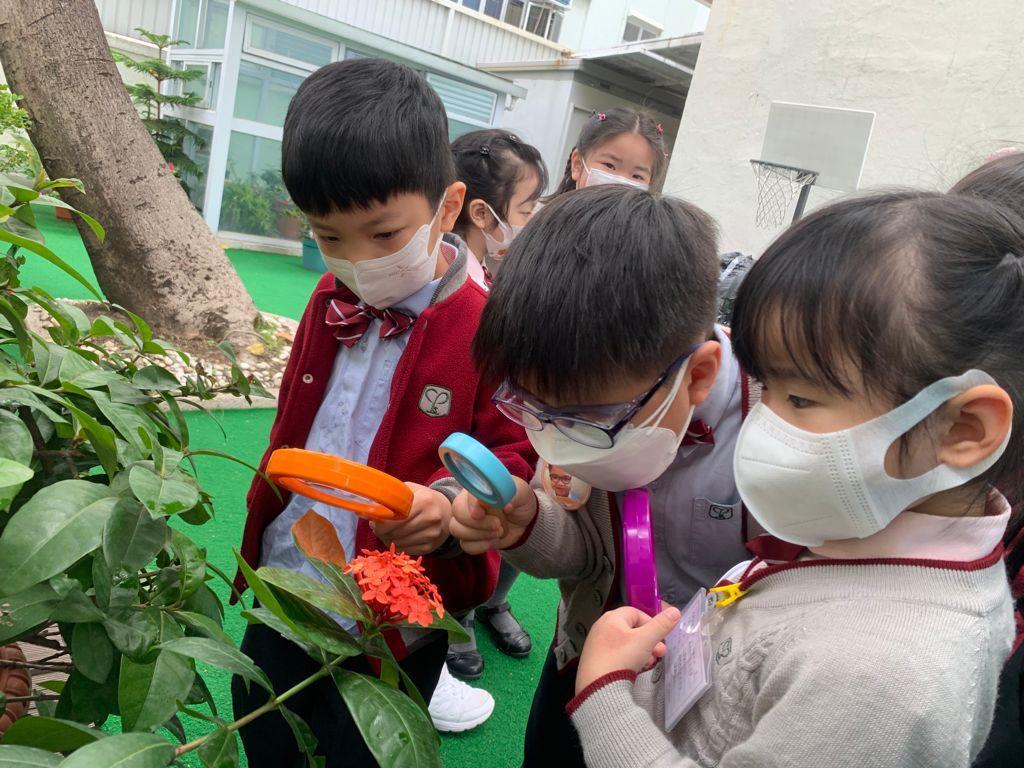 學生經過參觀、觀察、實驗或到圖書閱讀等探索活動後,再用mind map反映學習結果。