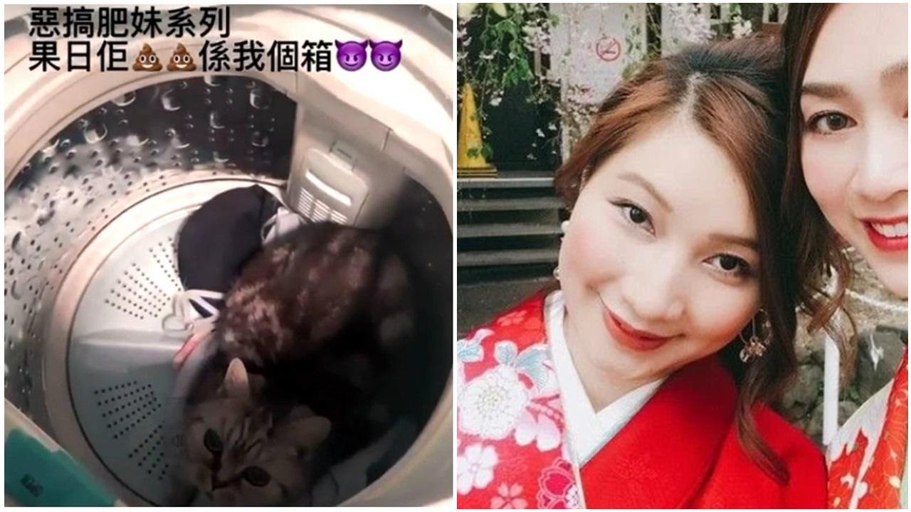 洗衣機困貓|前港姐冠軍黃嘉雯胞姐疑虐貓案 上訴得直罪脫