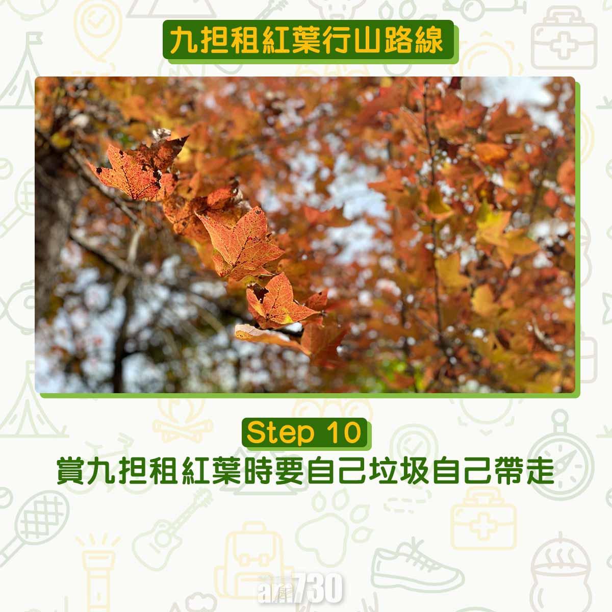 九担租紅葉
