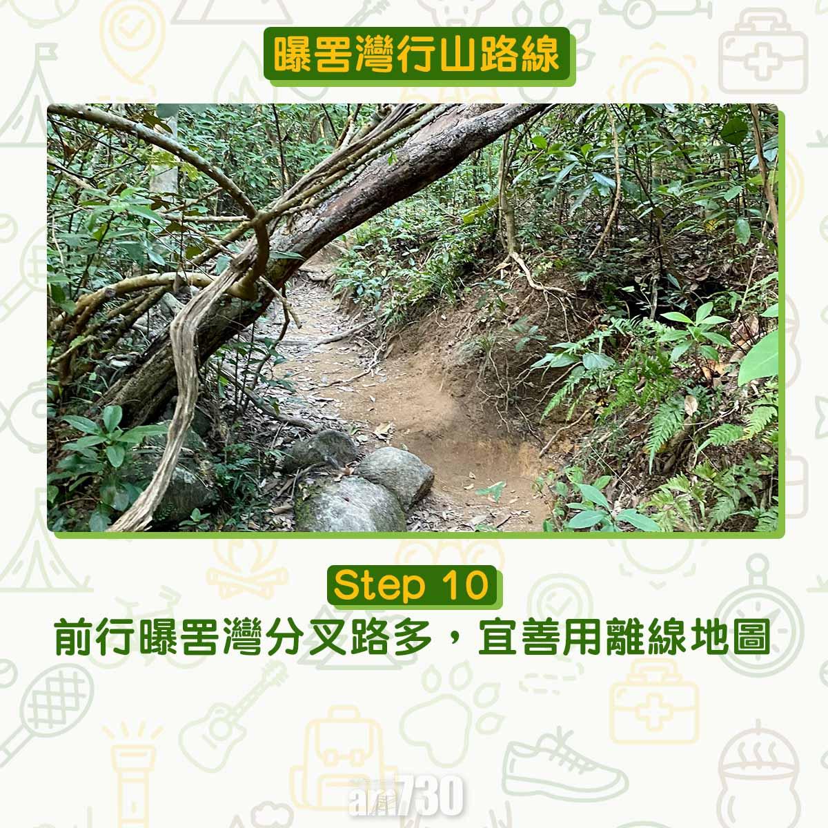 曝罟灣半月堤圍