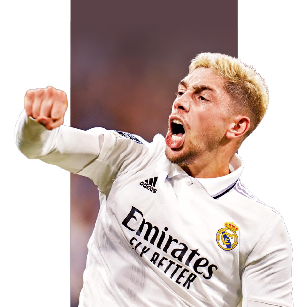 費達歷高華維迪