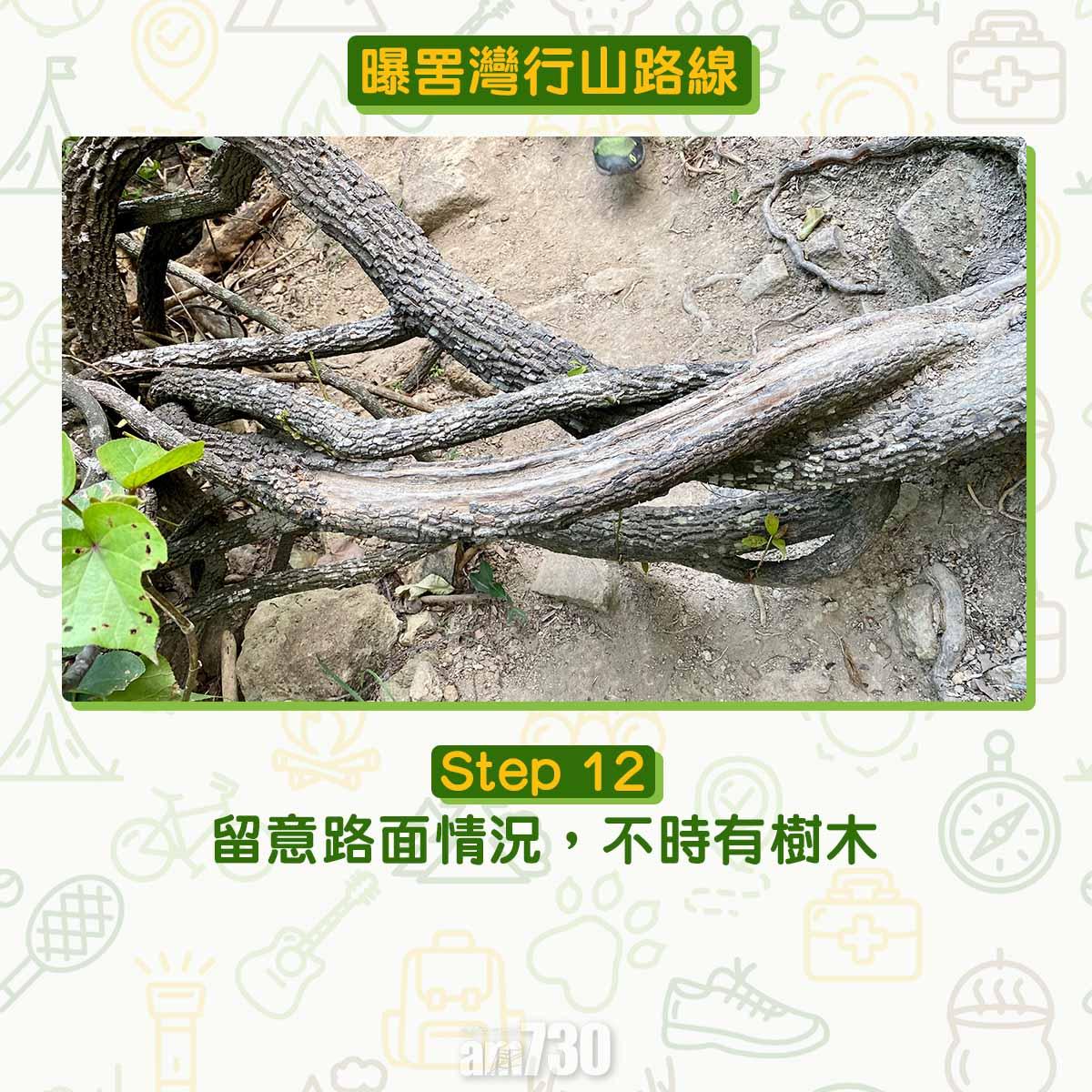 曝罟灣半月堤圍