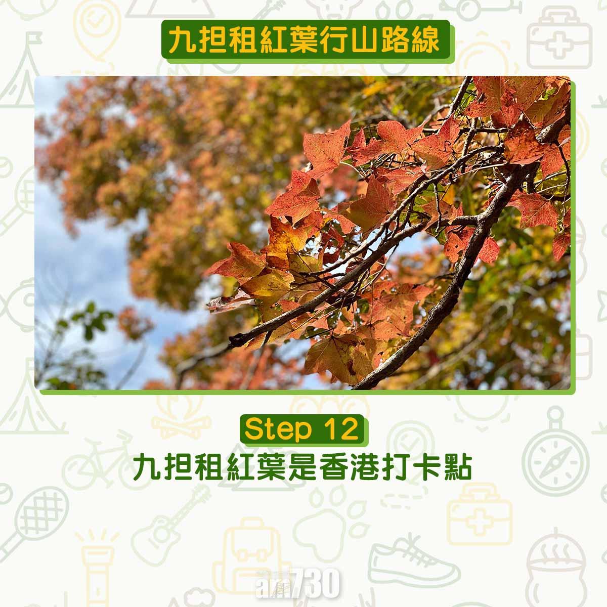 九担租紅葉