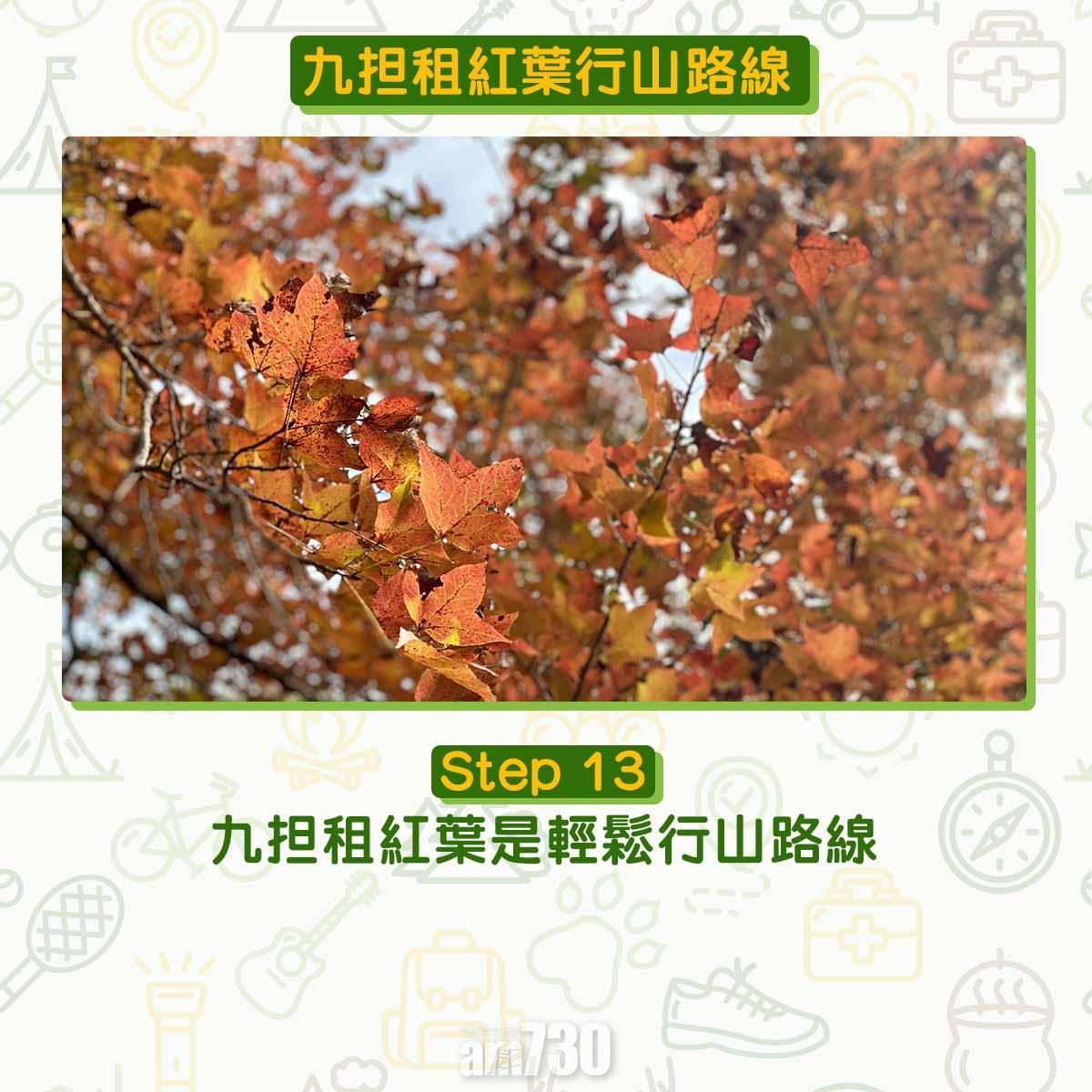 九担租紅葉