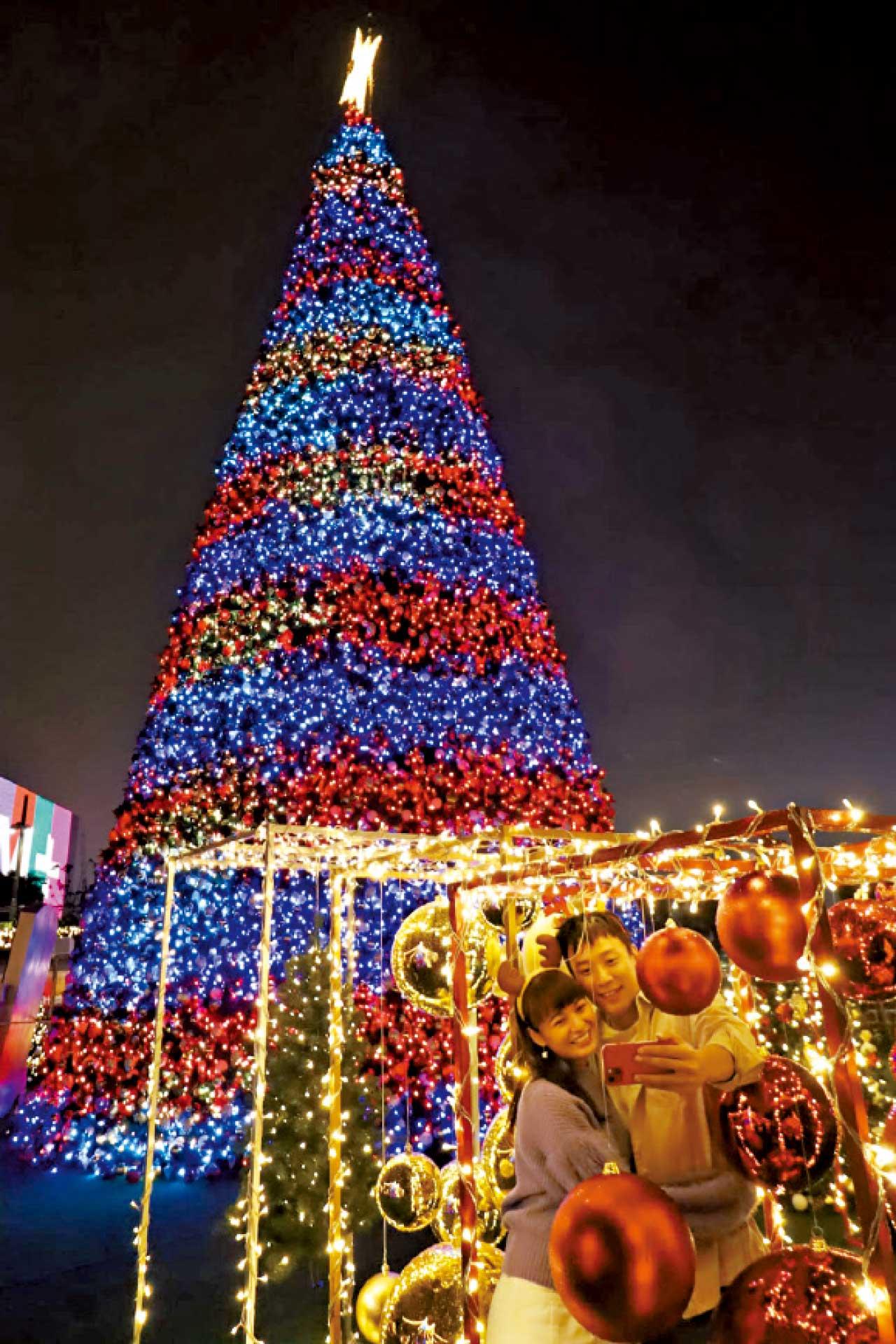 聖誕打卡必選 全港戶外最高聖誕樹閃亮維港海濱