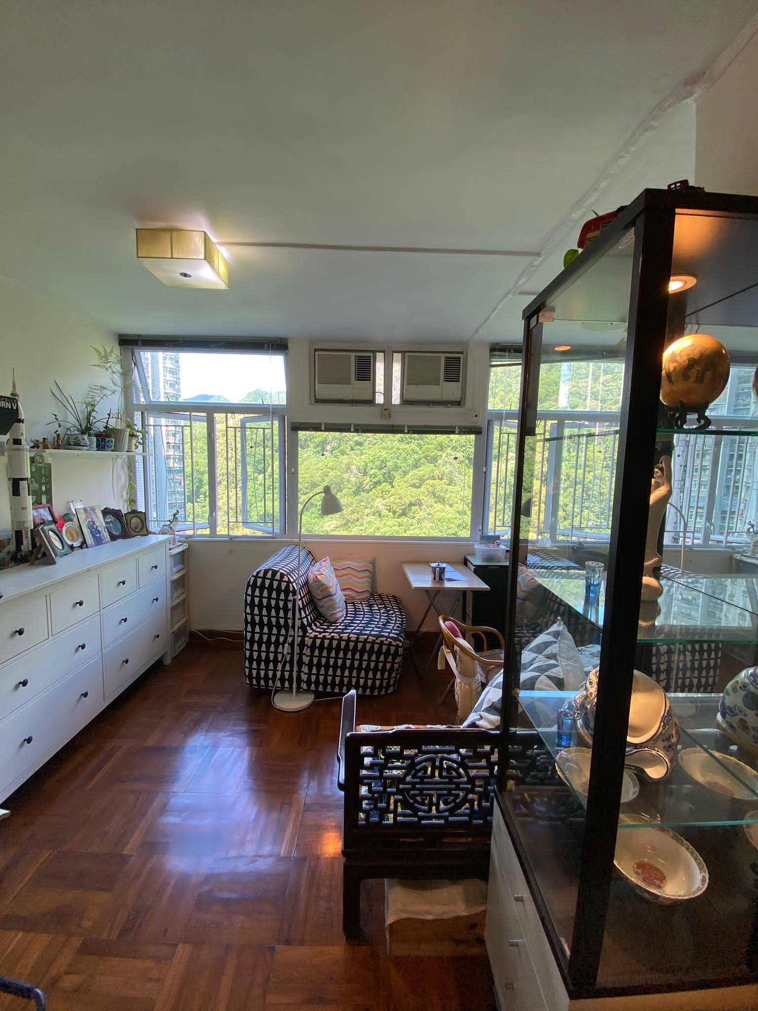 單位直望獅子山,非常光猛通爽。