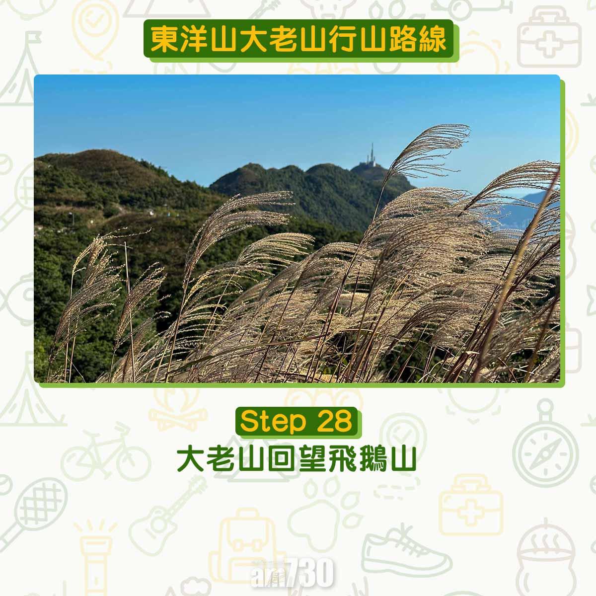 東洋山大老山行山路線