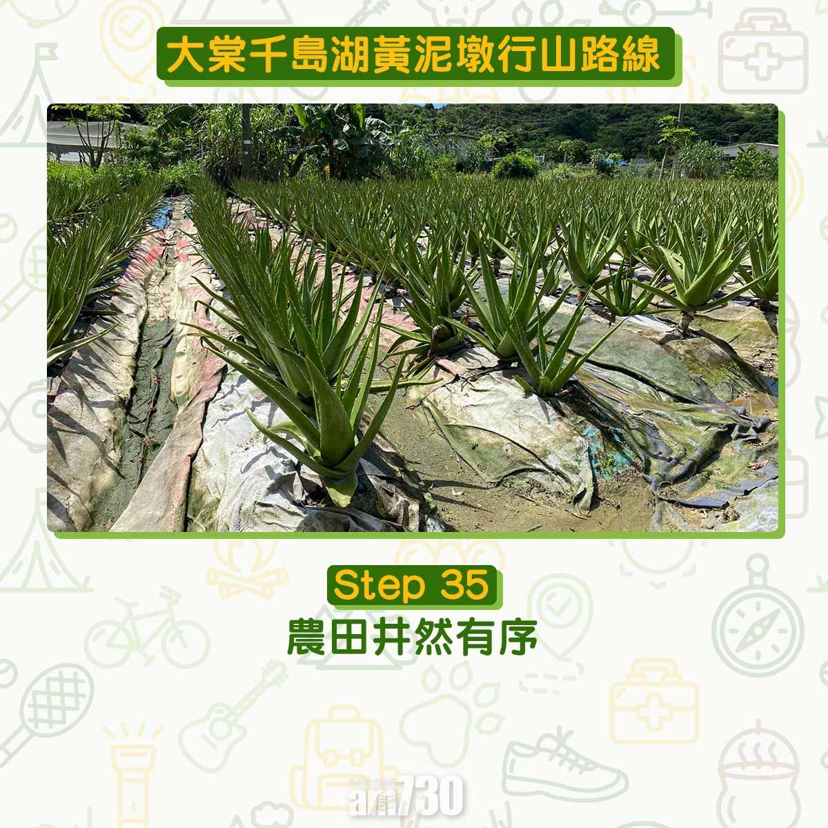 大棠千島湖黃泥墩