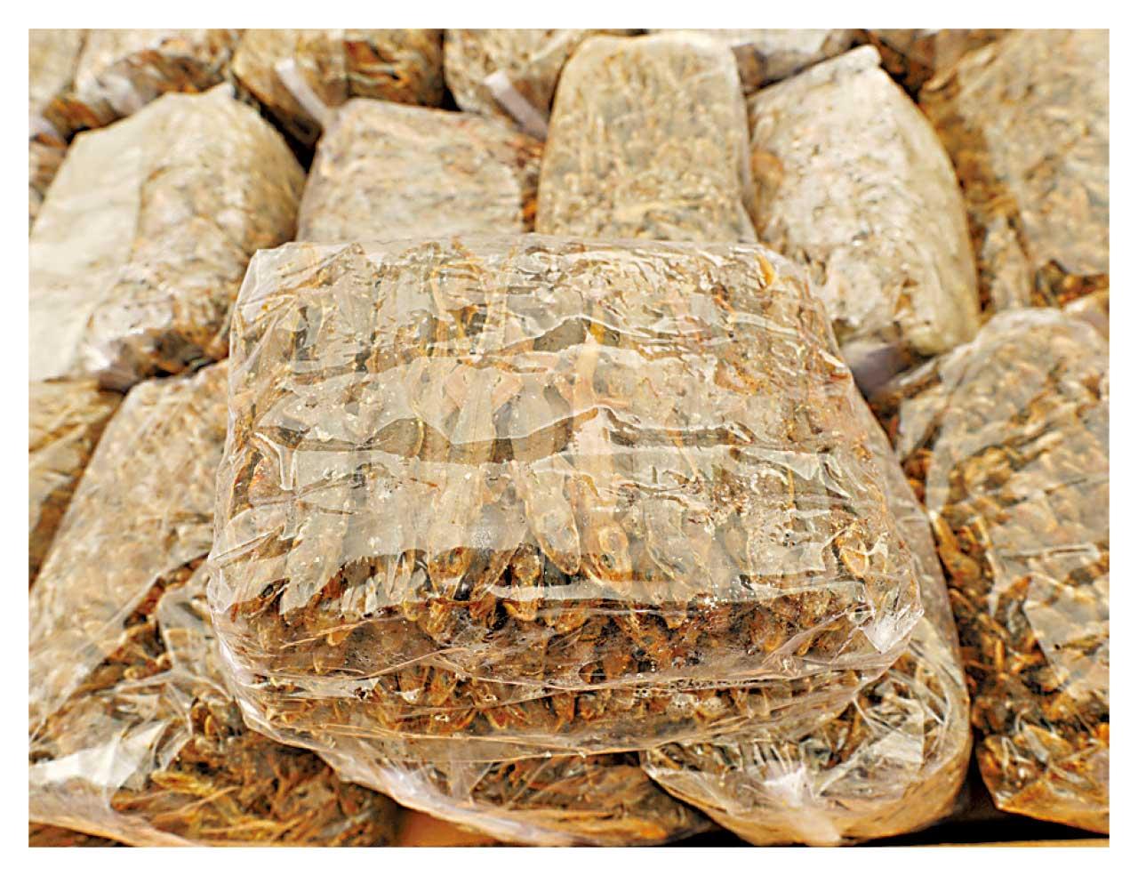 海關破今年最大宗3億元海路走私案 遠洋船檢50噸海味及餐酒