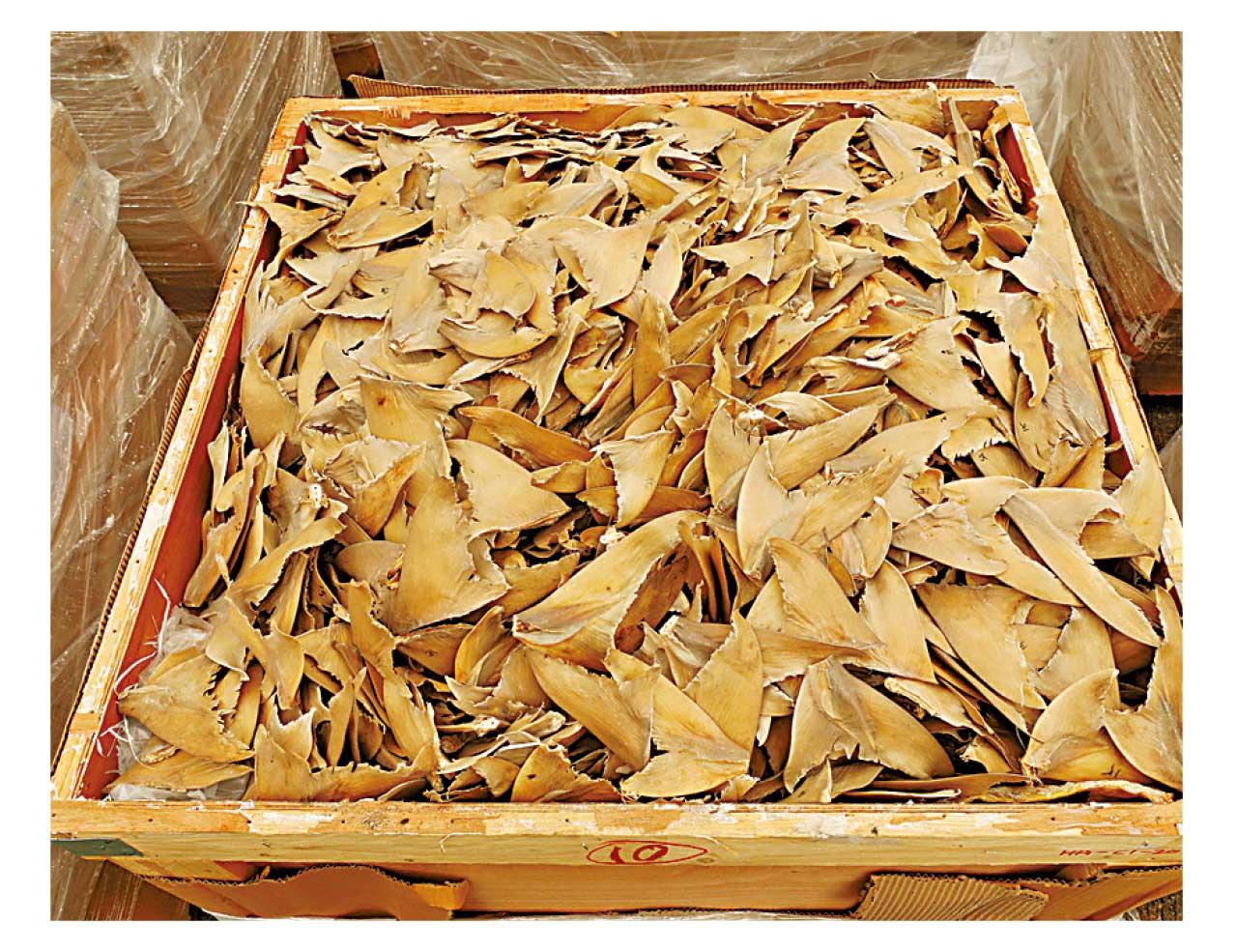 海關破今年最大宗3億元海路走私案 遠洋船檢50噸海味及餐酒