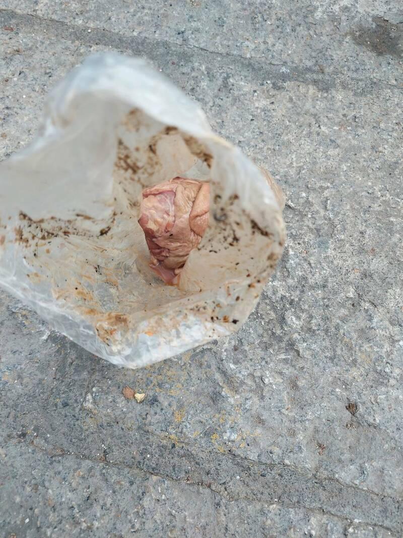 廟方挖出的生雞脾。(互聯網)