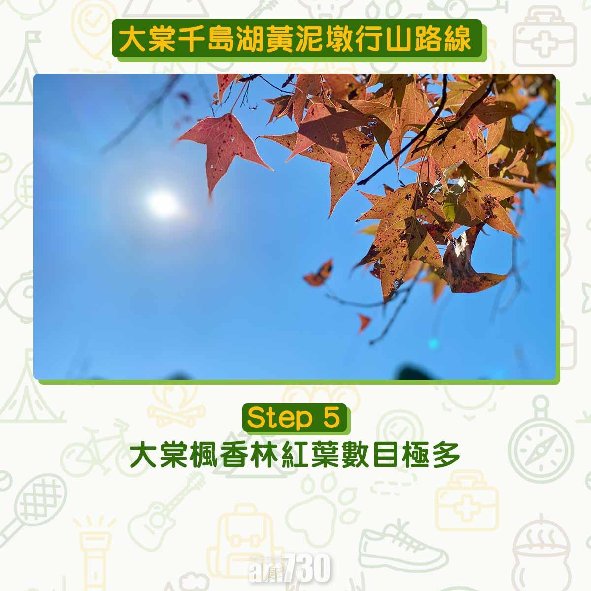 大棠千島湖黃泥墩