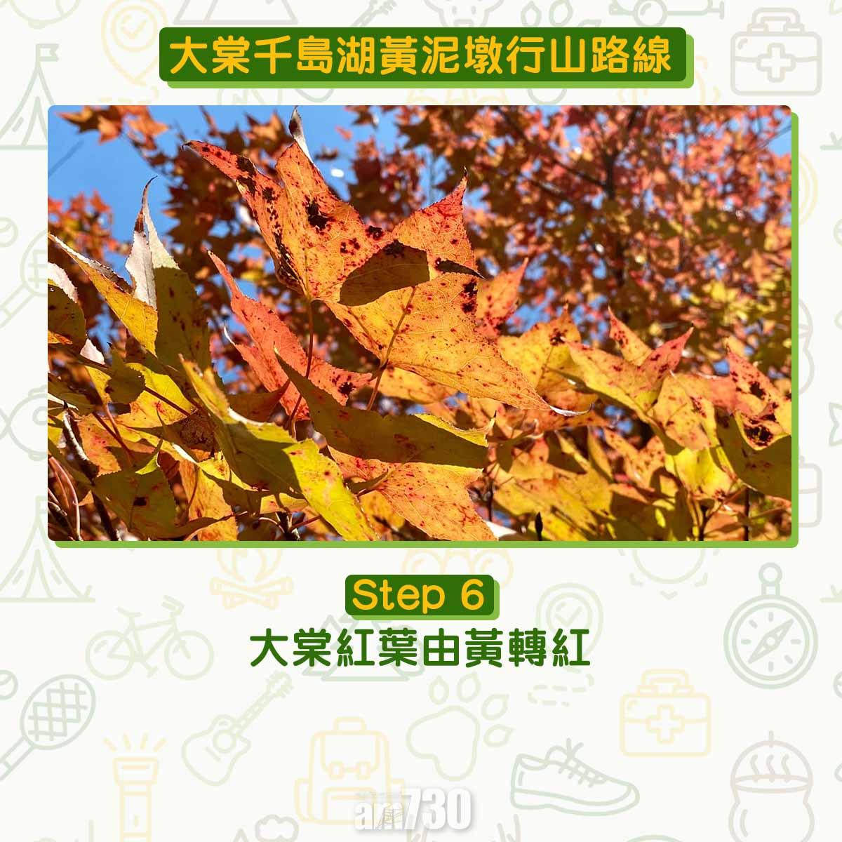 大棠千島湖黃泥墩