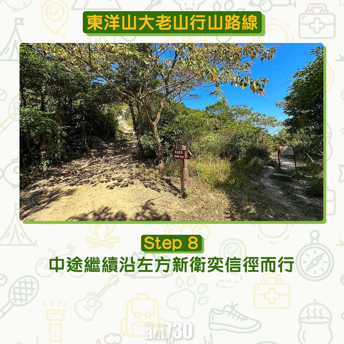 東洋山大老山行山路線