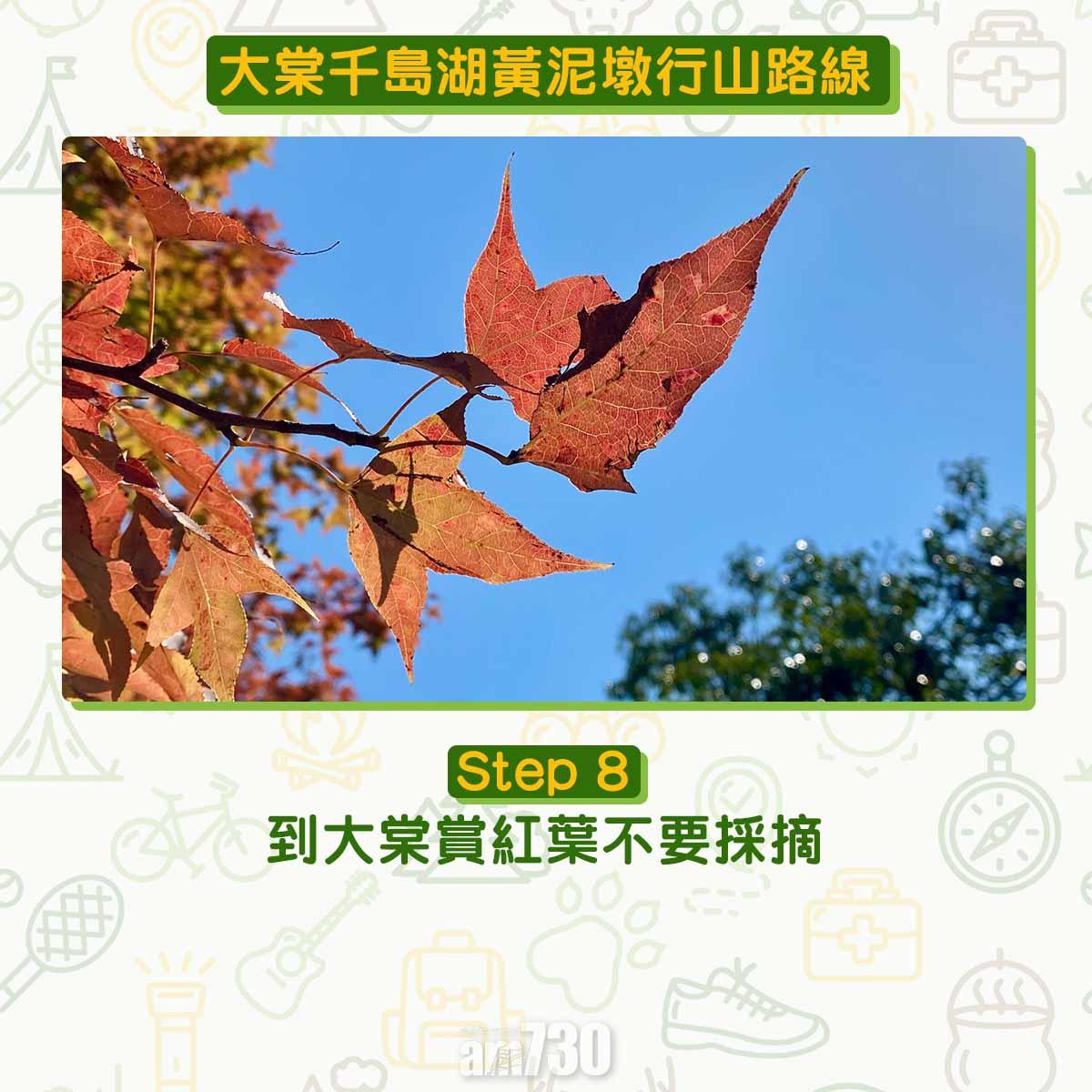 大棠千島湖黃泥墩