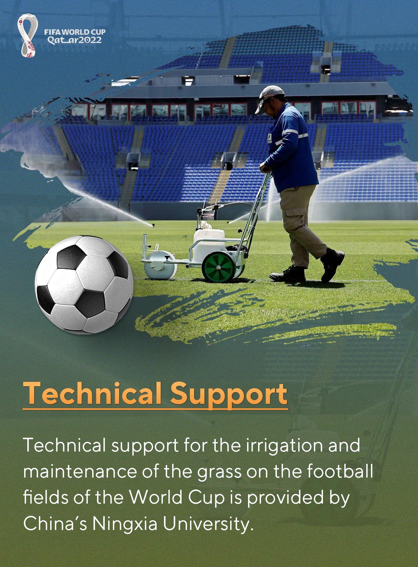 華春瑩連發8張圖文介紹世界盃的中國元素(6)。