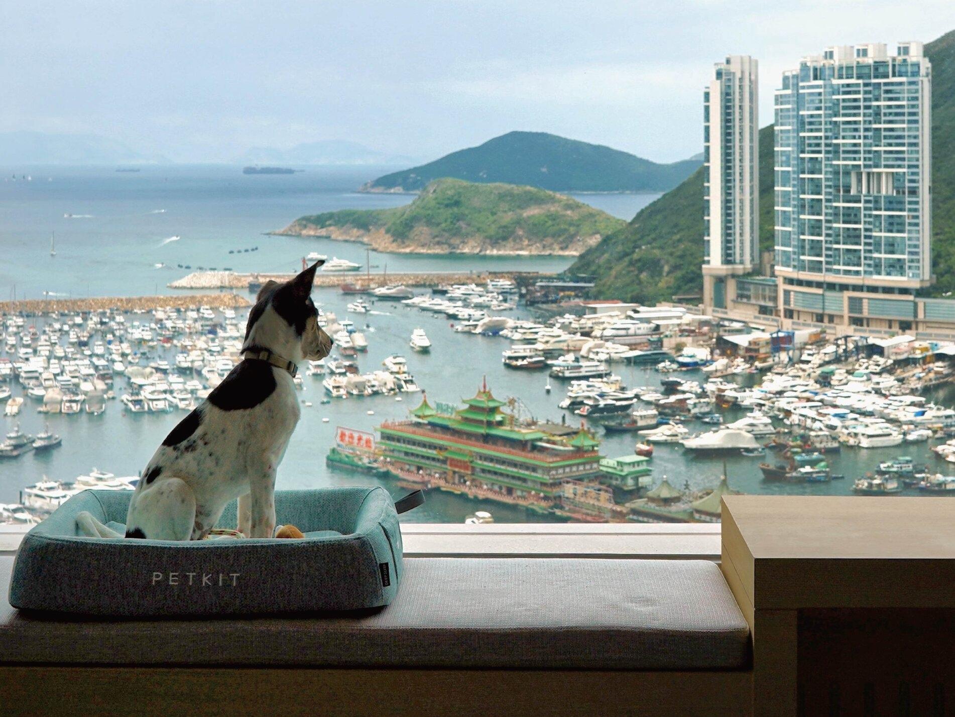 賞你住|旅發局賞你住新一輪周二登場 早上11時起接受報名