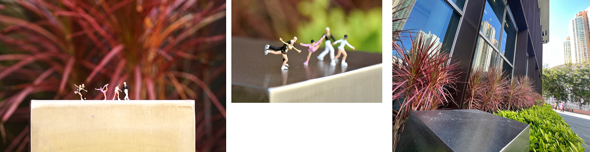 《圖書館再發現》攝影展