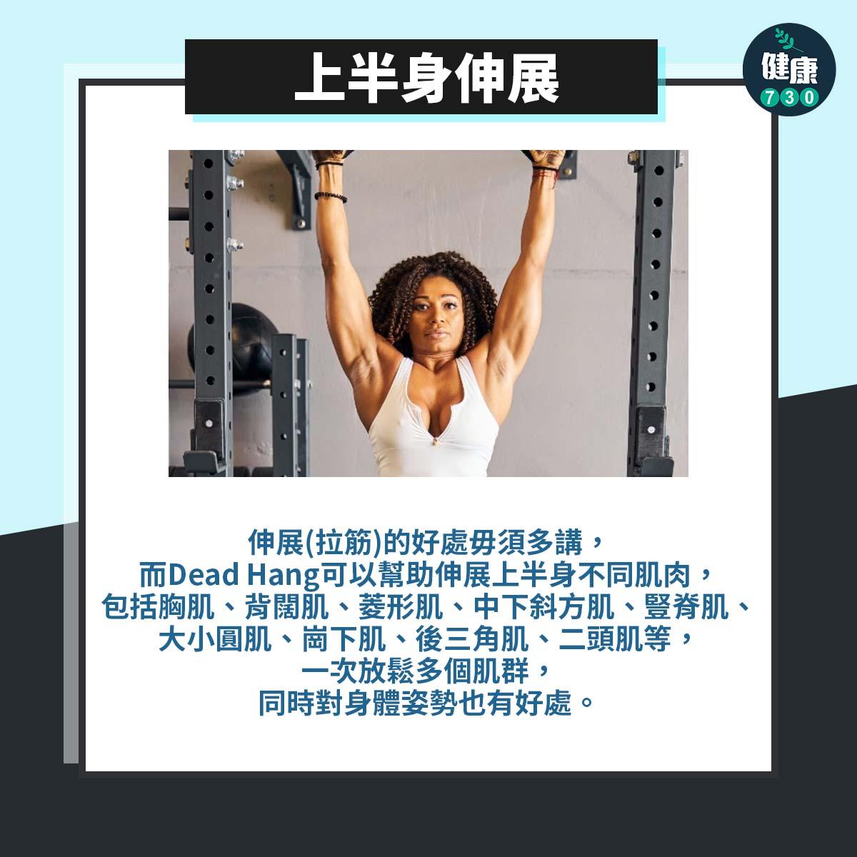 手臂訓練|Dead Hang上半身伸展
