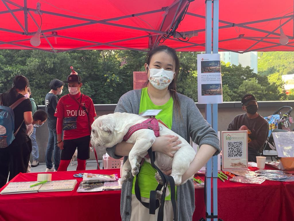 保護動物慈善協會義工Veronica指遺棄動物數目持續上升。(郭曉欣攝)