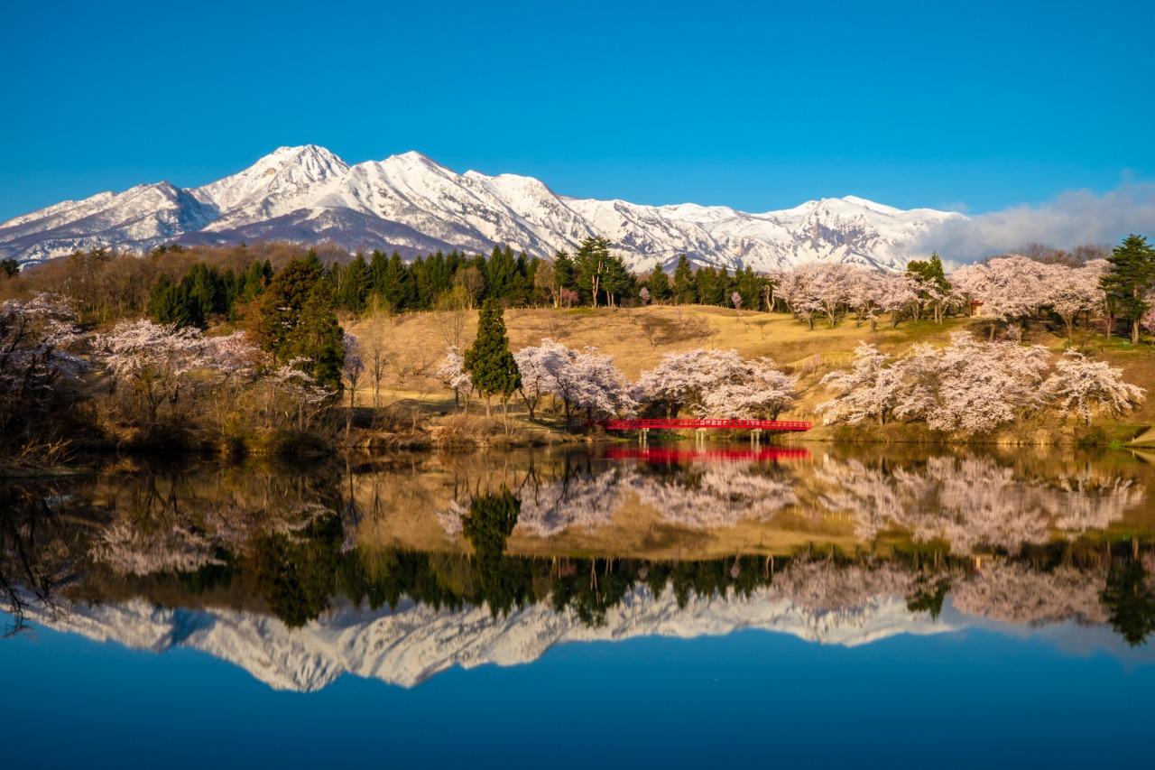 妙高高原 (圖片來源:東北觀光推進機構)
