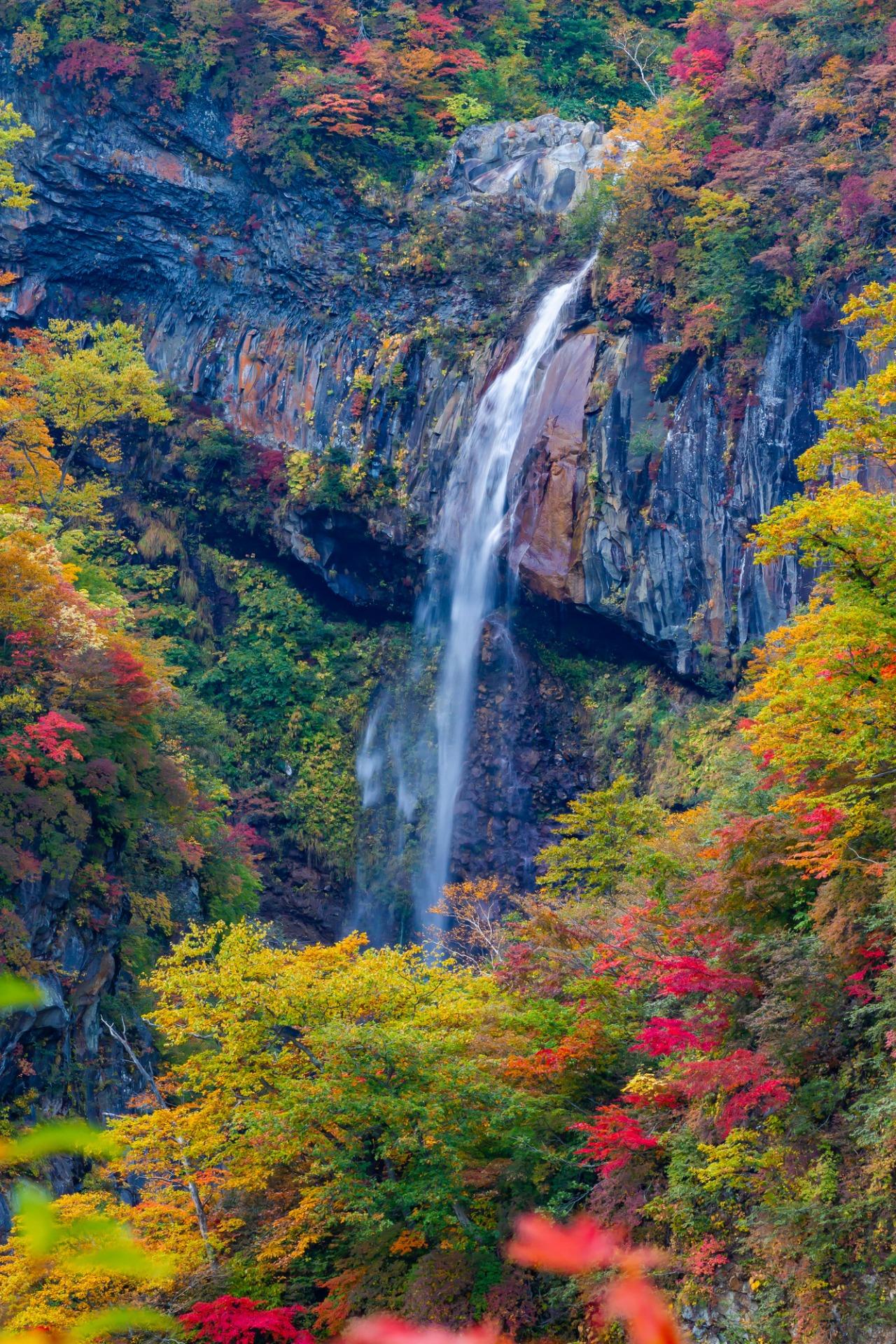 妙高高原 (圖片來源:東北觀光推進機構)
