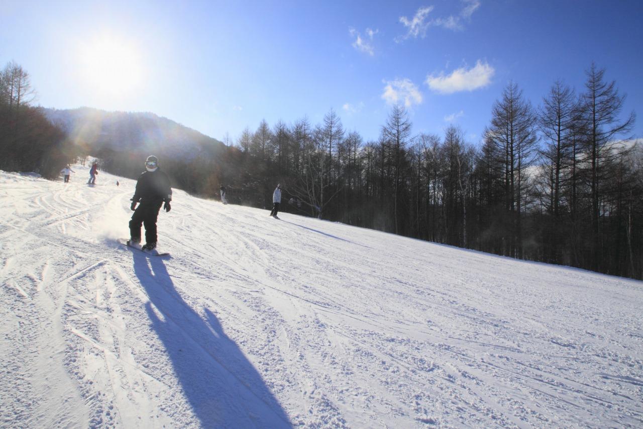 安比高原 (圖片來源:東北觀光推進機構)