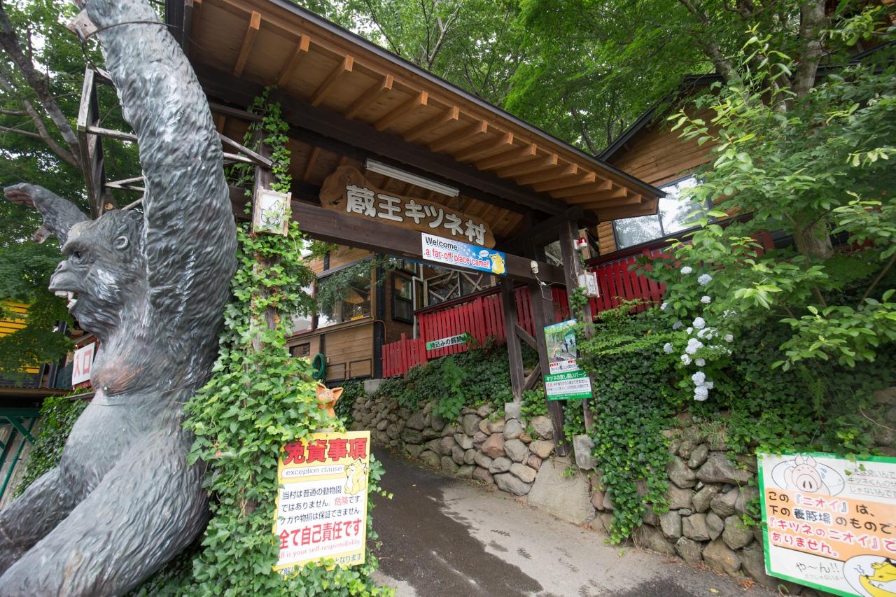 宮城藏王狐狸村 (圖片來源:東北觀光推進機構)