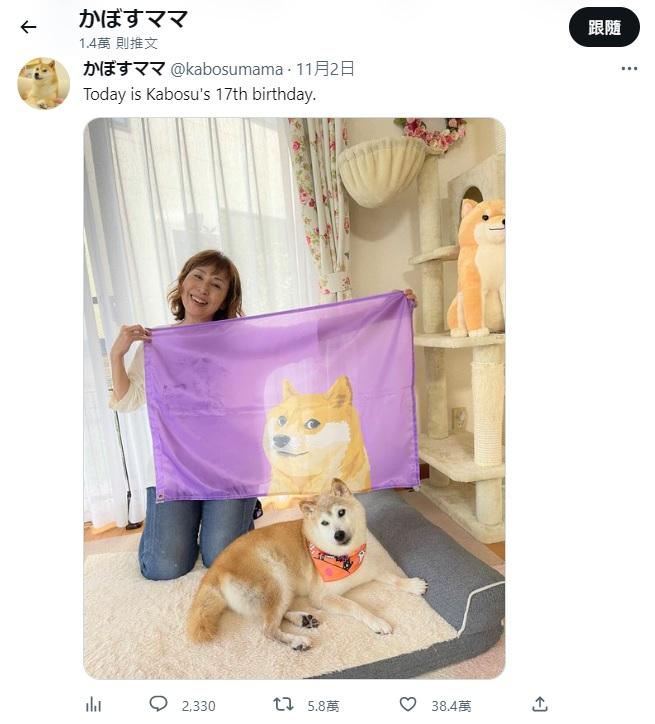 佐藤敦子上月為Kabosu慶祝17歲生日。(互聯網)