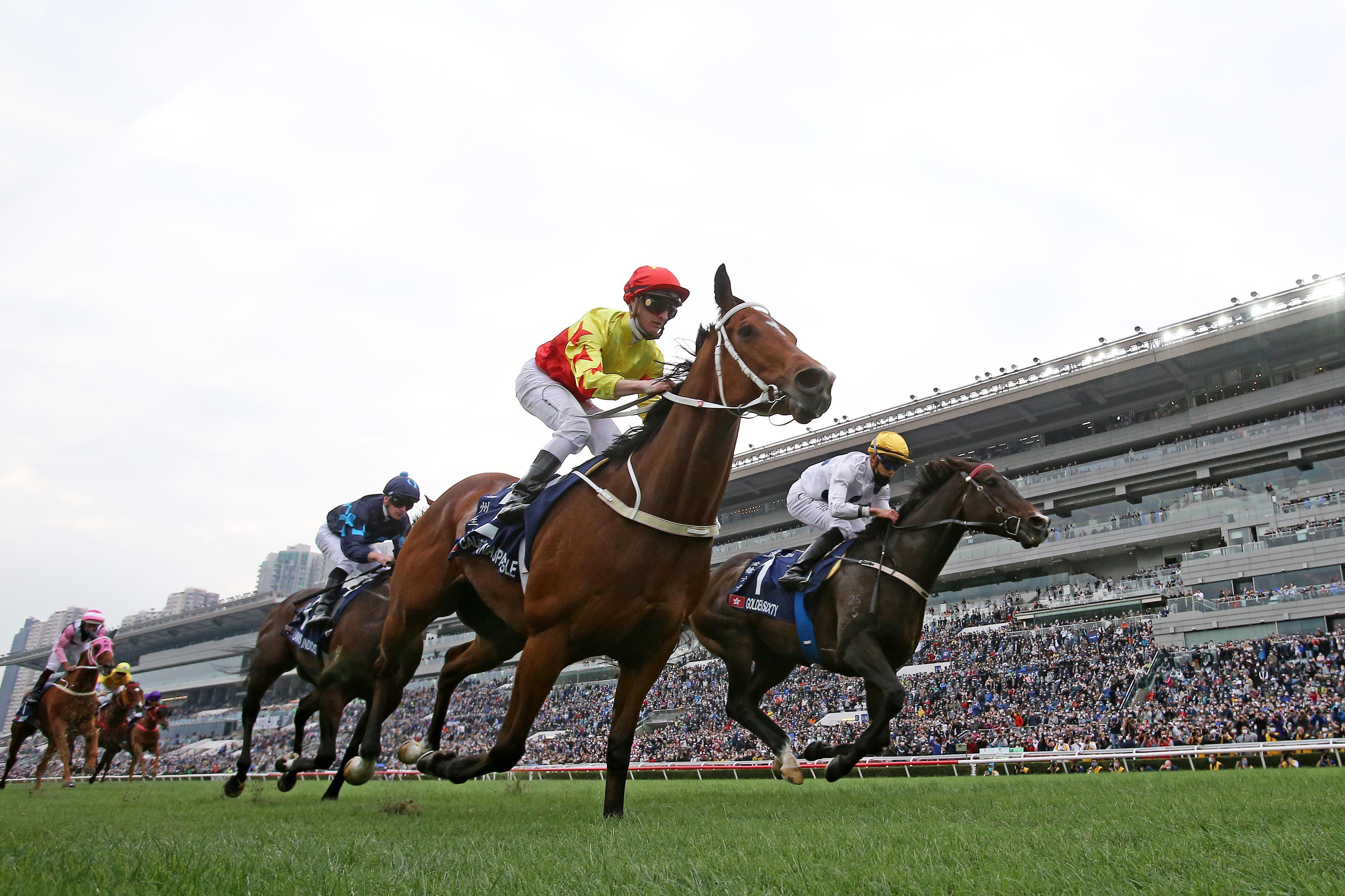 浪琴香港國際賽事, 告東尼