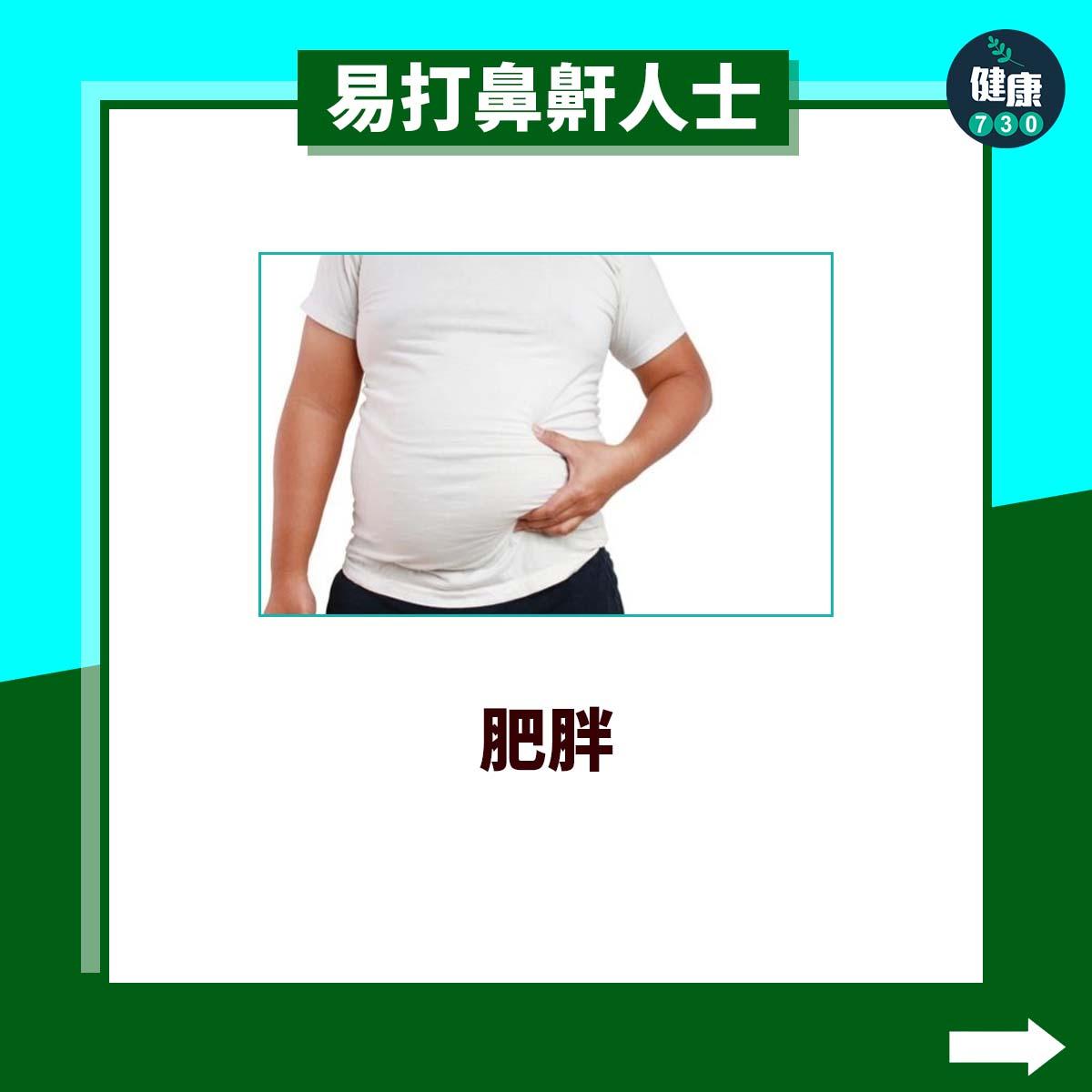 易打鼻鼾人士|肥胖