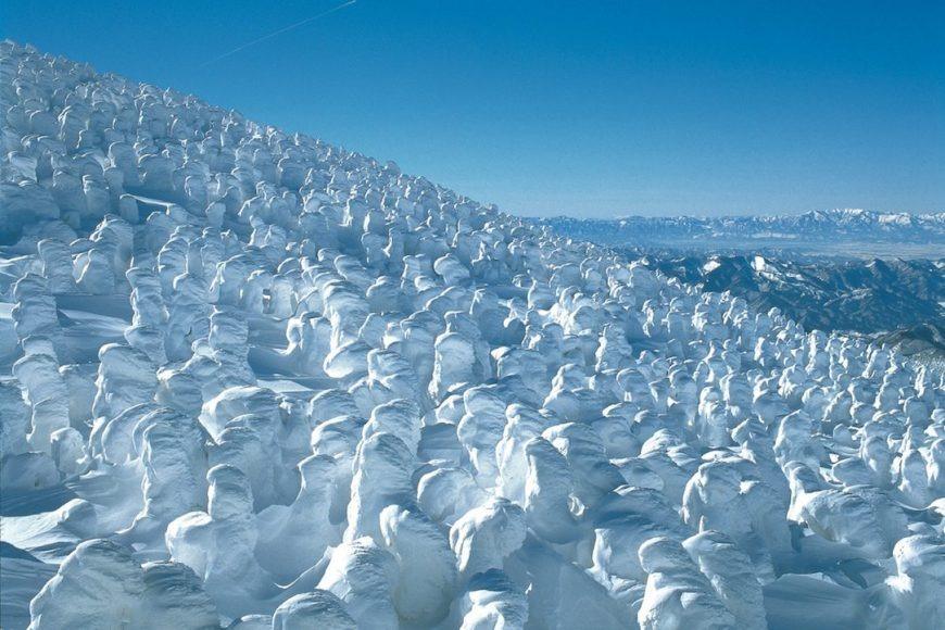 藏王樹冰祭 (圖片來源:東北觀光推進機構)