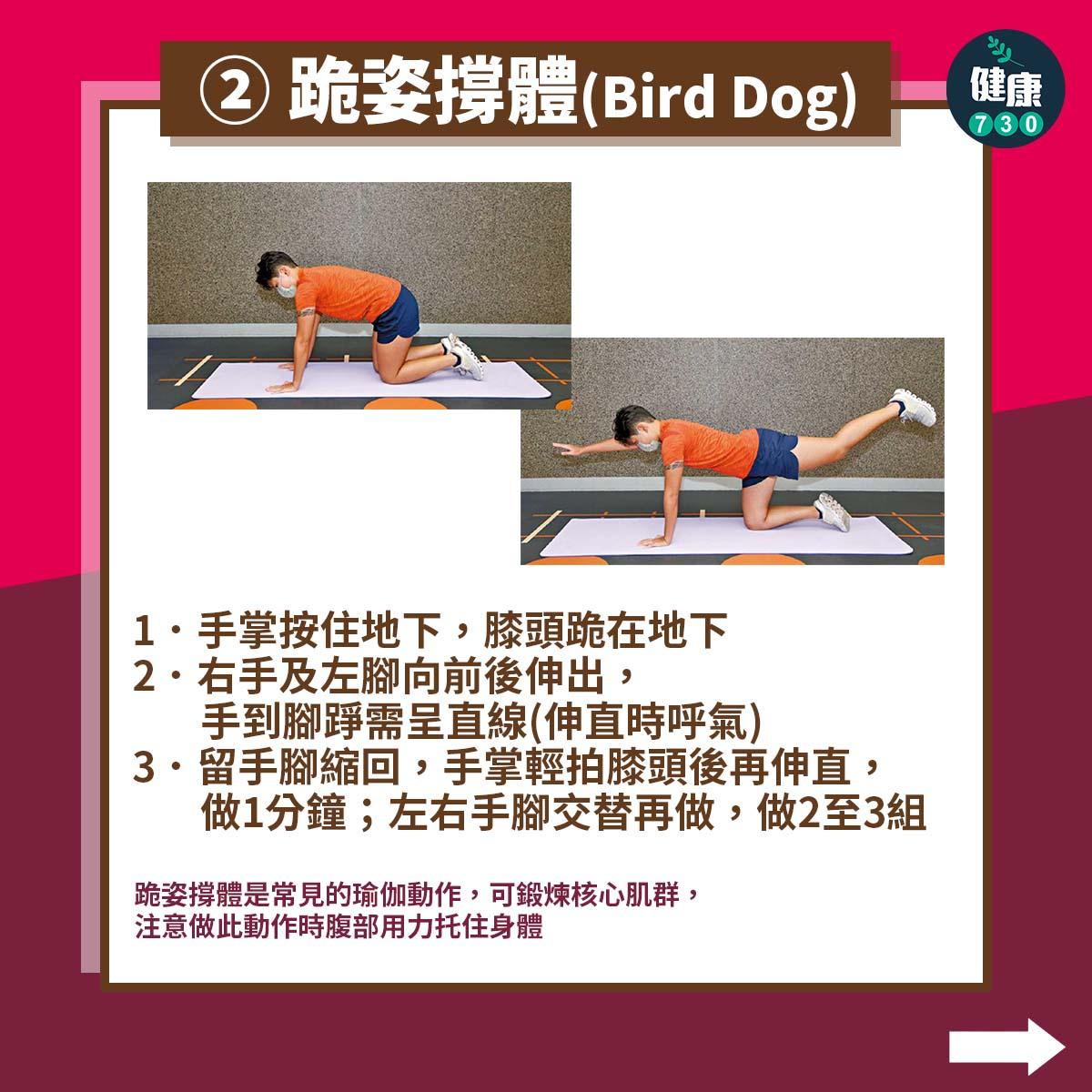 盆骨前傾矯正|跪姿撐體(Bird Dog)