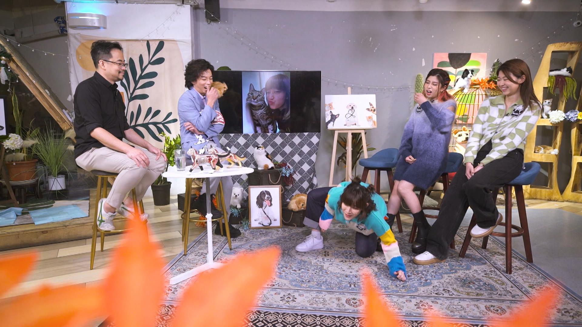 阿正曾親身示範教愛貓用水機。