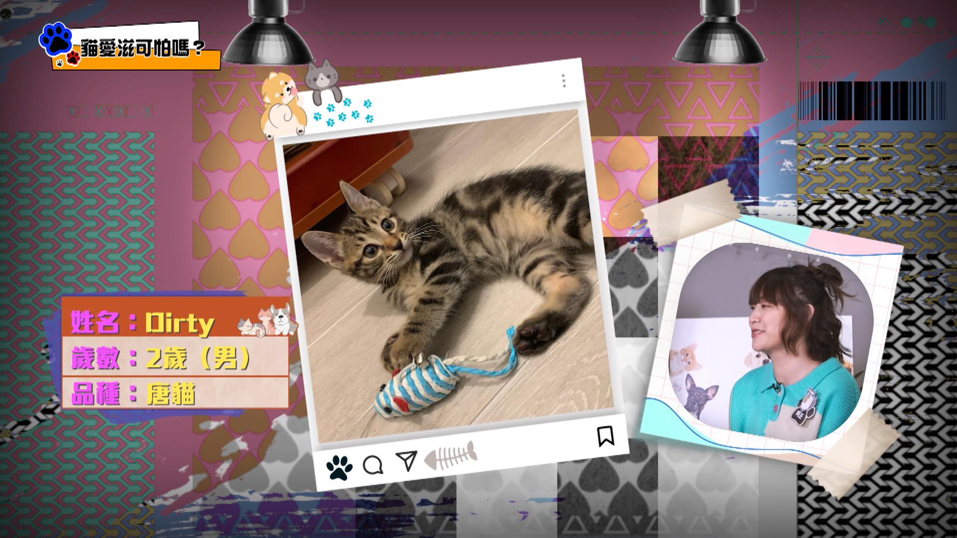 阿正的寵物Dirty。