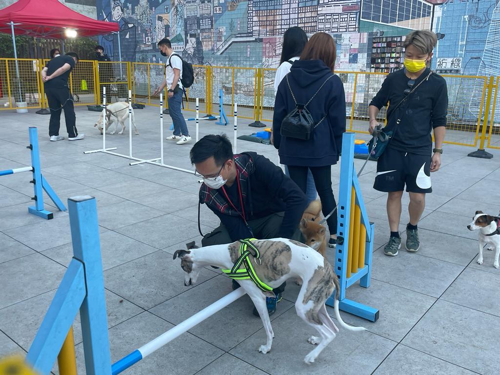 漁護署與多個團體舉辦你寵愛 - 狗狗領養嘉年華。(郭曉欣攝)