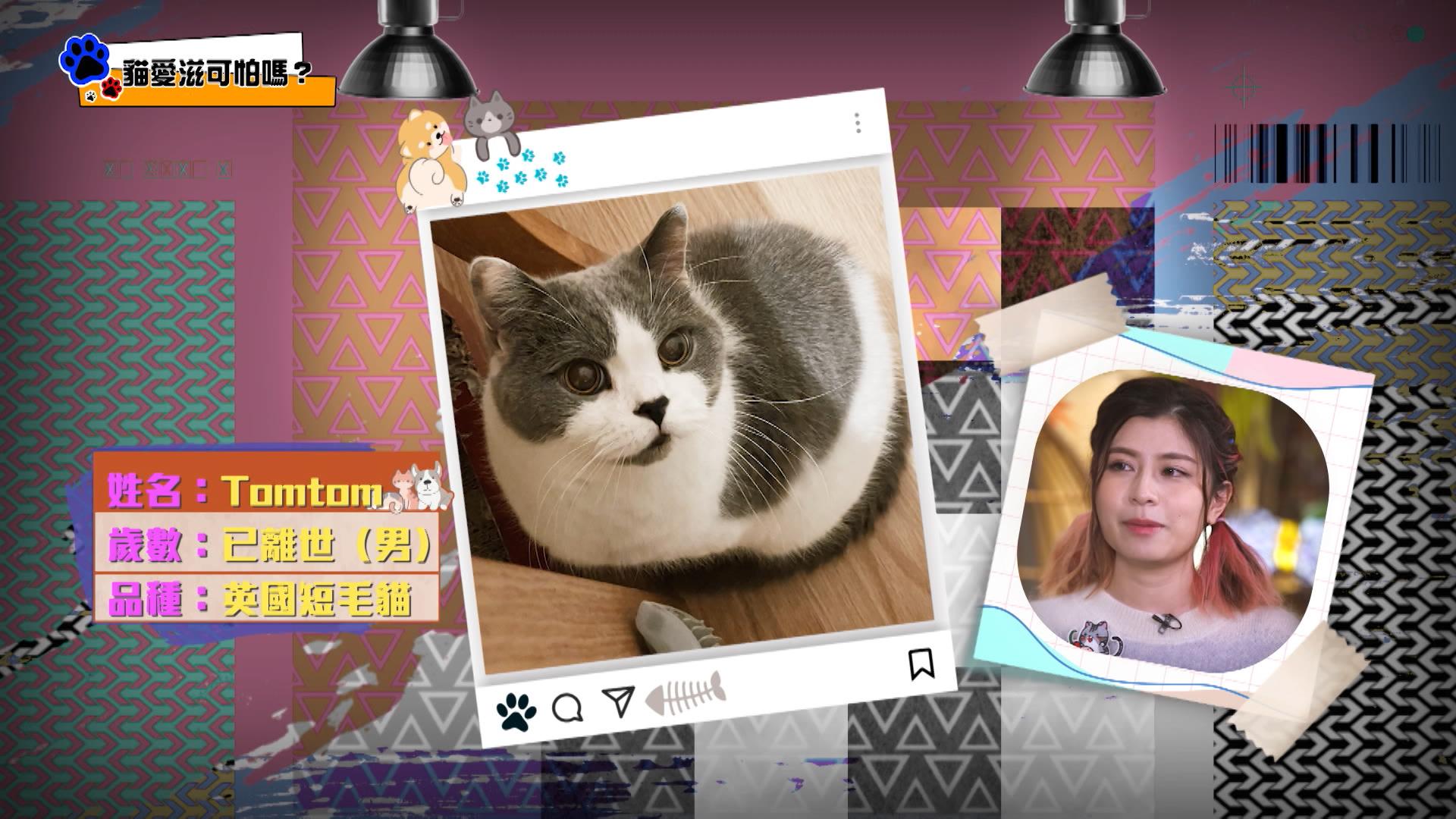 馬騮搣已故愛貓Tomtom。