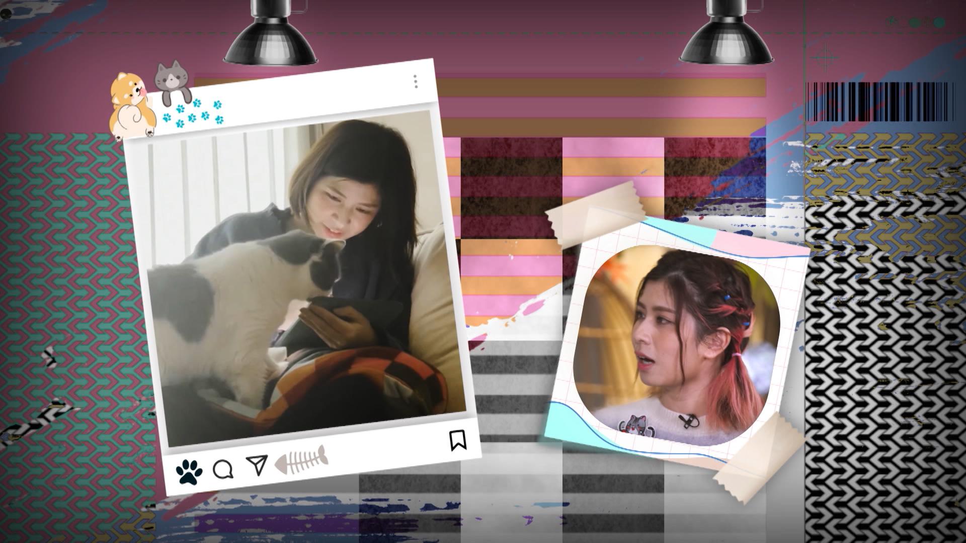 馬騮搣憶述愛貓Tomtom因病離世。