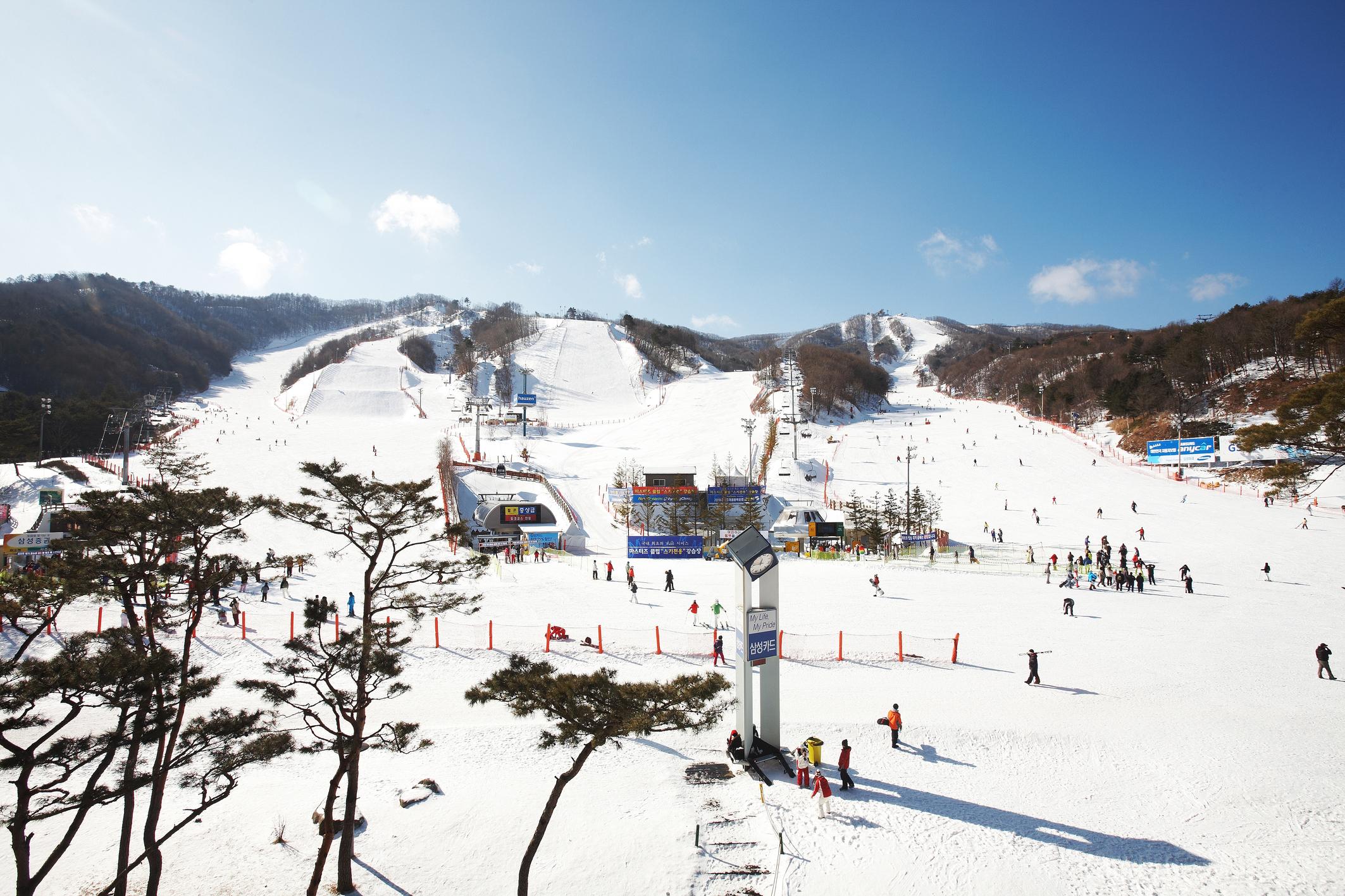 鳳凰島平昌滑雪場