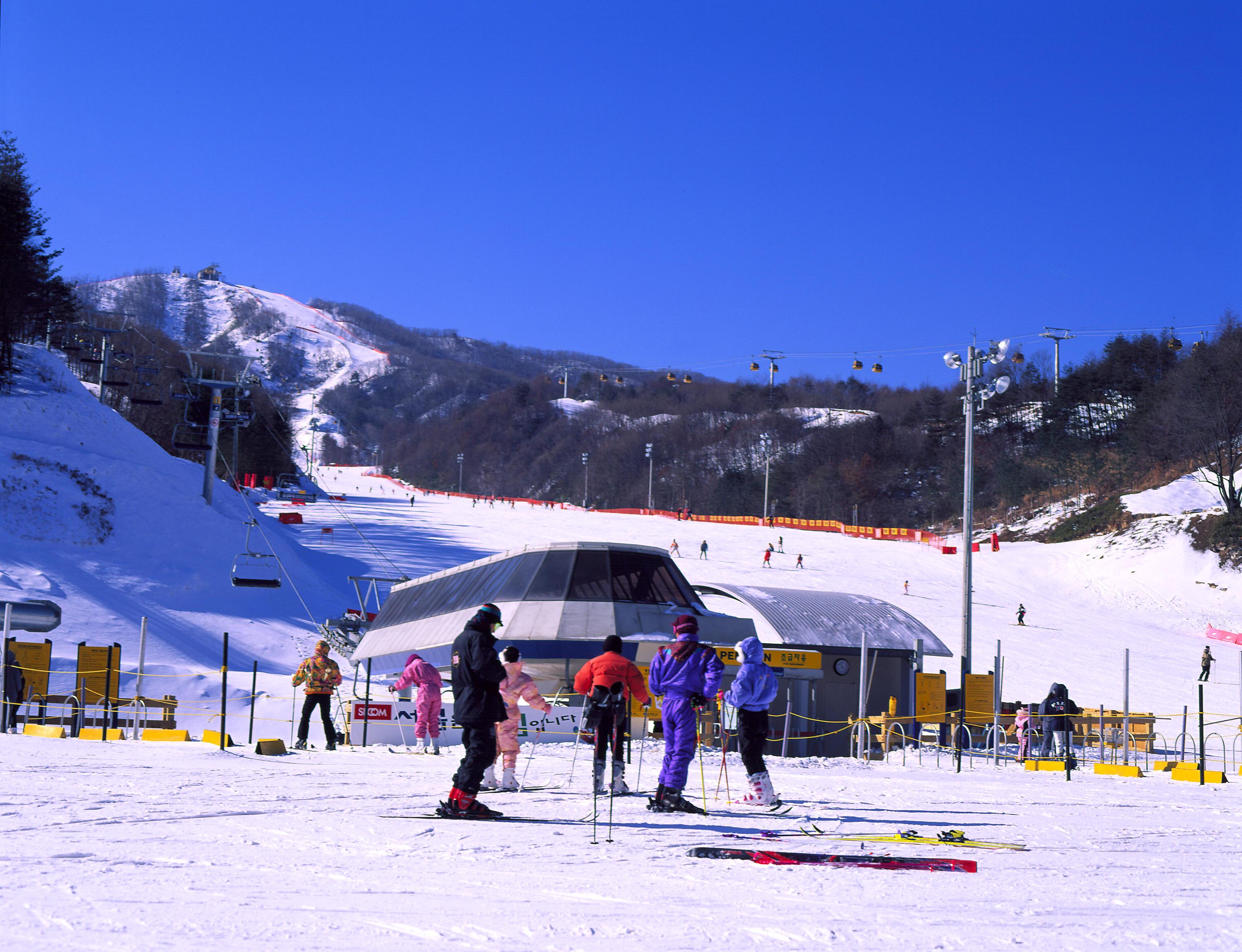 鳳凰島平昌滑雪場